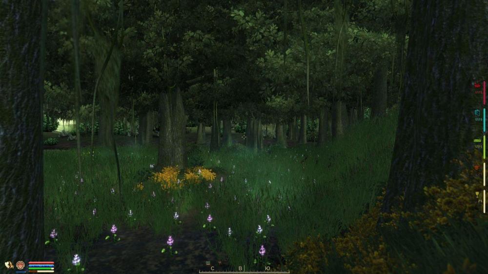 1.thumb.jpg.4cd17386a3c1cb0e9db3d77ddc55