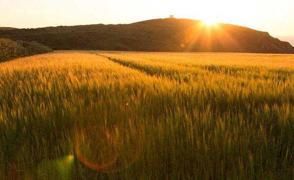 14492971955_7e598a400c_k.jpg.0a83e821d83