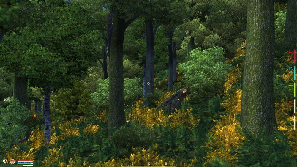 2.thumb.jpg.5b2bb67c22c6b424d41ed395edd8