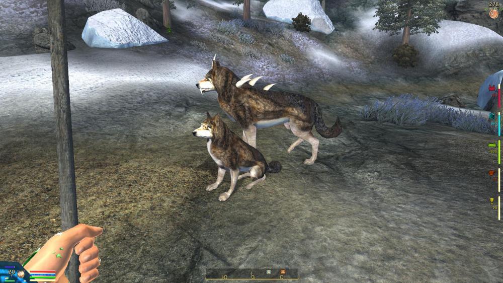 Oblivion 2014-04-17 22-09-03-07.jpg