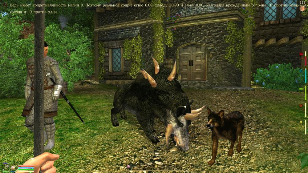 Oblivion 2014-04-18 15-33-12-42.jpg