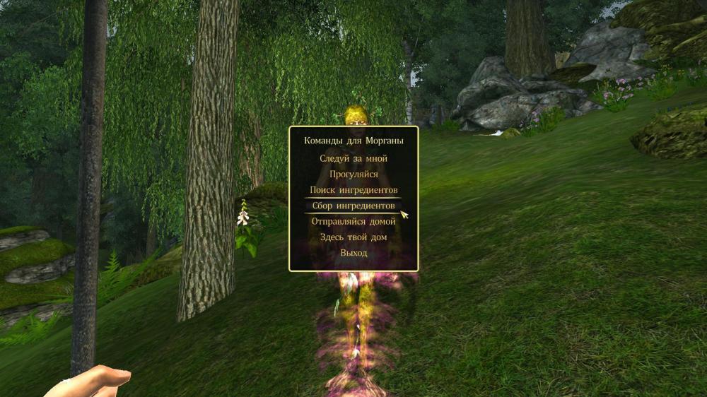 Oblivion 2014-06-02 10-09-32-80.jpg