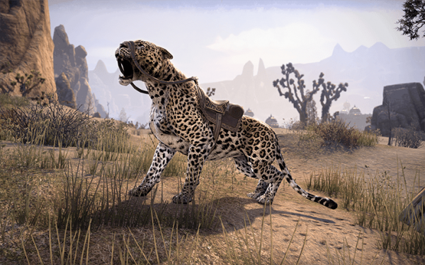 LeopardMountFinal_730x456-600x375.jpg.4c
