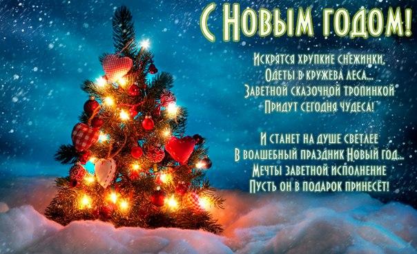 jx7tTdjRbsM.jpg.10ed9b499716705afc4eb782