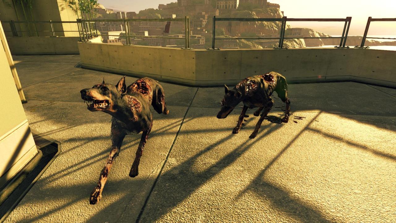 71cab9f3c661102a334f75362178613a.thumb.j