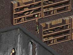 2.jpg.1b80b168e39338920e219c70dfa1e0b0.j