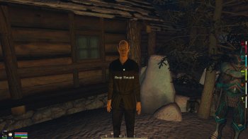 Oblivion 2015-08-04 22-54-11-23.jpg