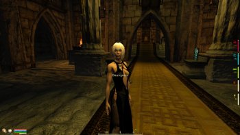 Oblivion 2015-08-12 13-47-41-93.jpg