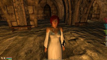 Oblivion 2015-08-12 13-48-30-95.jpg