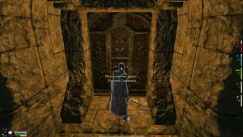 Oblivion 2015-08-12 22-55-43-70.jpg