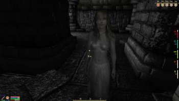 Oblivion 2015-08-13 01-42-00-10.jpg