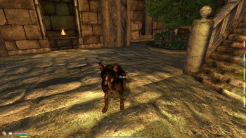 Oblivion 2015-08-04 12-02-22-36.jpg