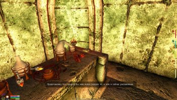 Oblivion 2015-08-03 22-50-05-14.jpg