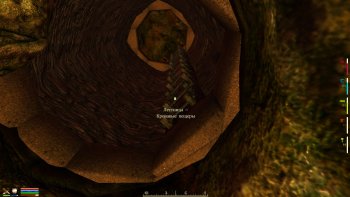 Oblivion 2015-08-04 00-38-55-71.jpg