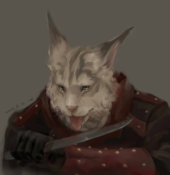 TES5-Khajiit-1.jpeg