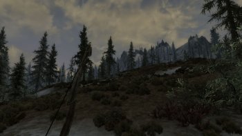 ScreenShot174_cr.jpg