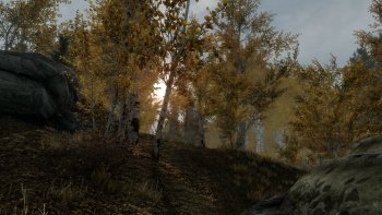 ScreenShot242_cr.jpg