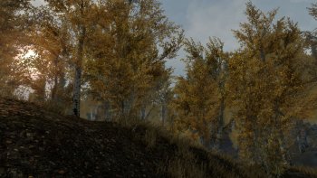 ScreenShot243_cr.jpg