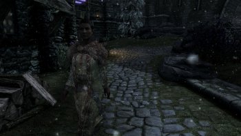 ScreenShot317_cr.jpg