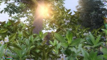 1-ScreenShot24.jpg
