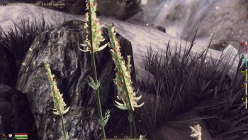 Oblivion 2016-03-13 01-08-28-40.jpg