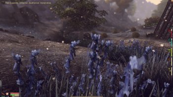 Oblivion 2016-03-13 01-14-14-55.jpg