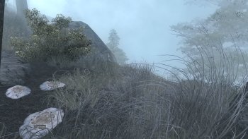 1-ScreenShot86_cr.jpg
