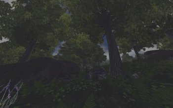 Era of Change 1.07