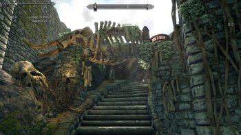 SkyrimSE295.jpg
