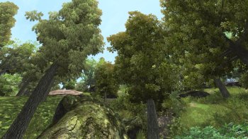Oblivion20181107 17.20.37.jpg