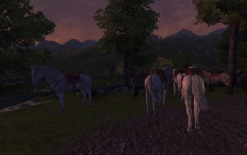 Oblivion20181218 01.29.38.jpg