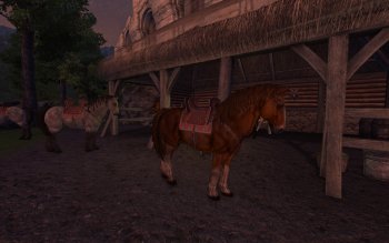 Oblivion20181218 01.29.30.jpg