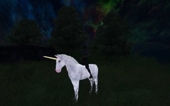 Oblivion20181227 15.17.08.jpg