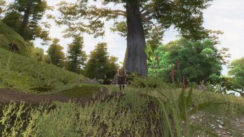 Oblivion20190301 20.19.01-min.jpg