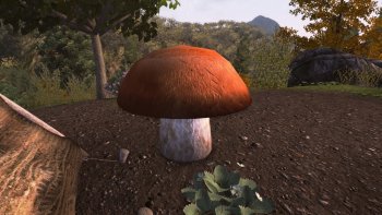 Oblivion20190604 18.32.33-min.jpg
